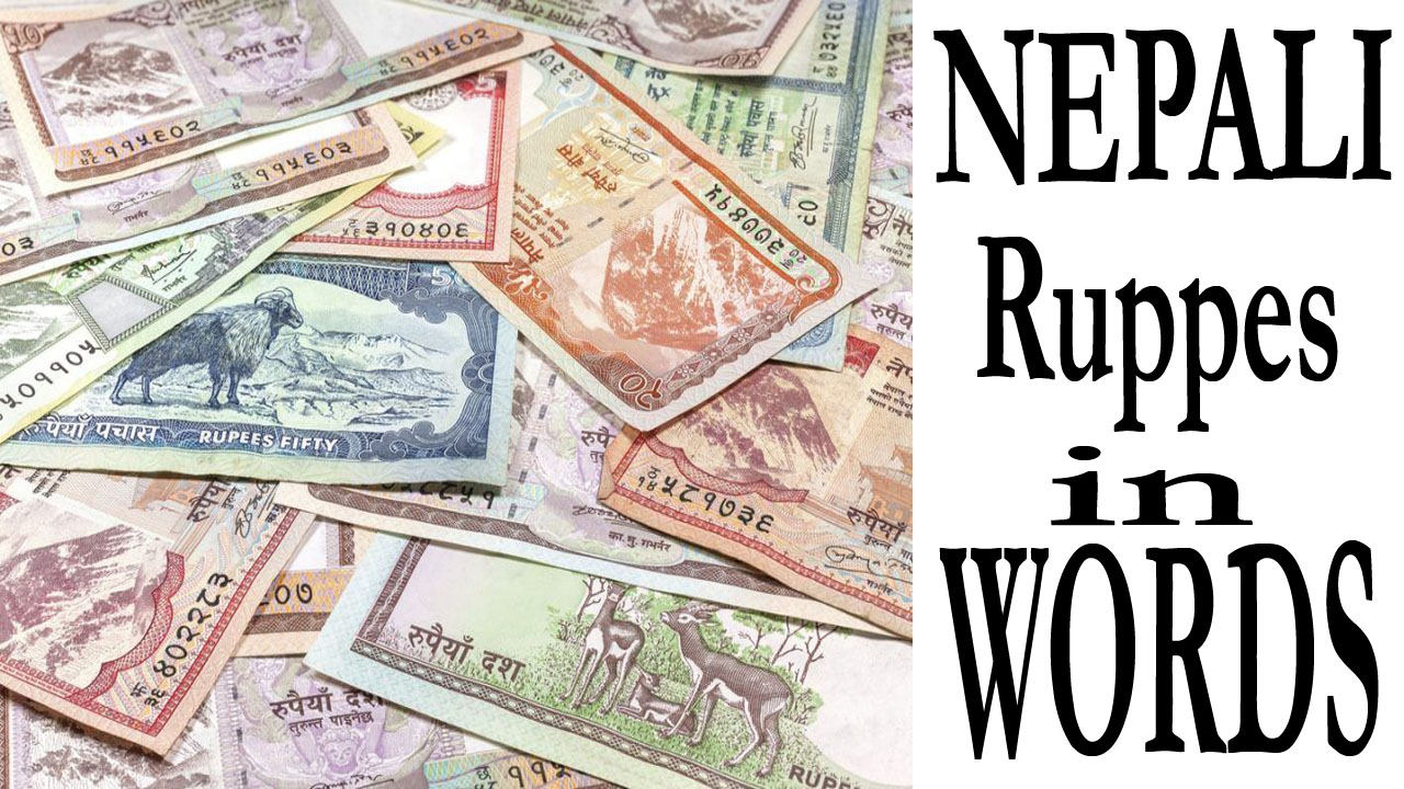 nepali paisa